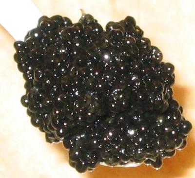 Classic Osetra Caviar, Sturgeon Caviar, Hackleback Caviar