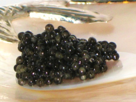 Fresh Imperial Sevruga Caviar :: Sevruga Caviar :: Buy Sevruga Caviar Online